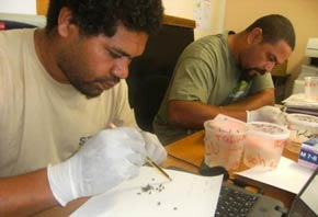 Journée d’audit interne des techniciens participant au réseau MDF